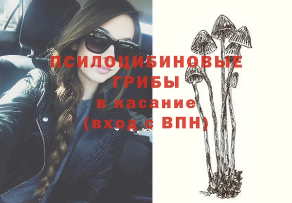 шишки Богданович