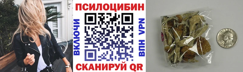 Купить  Суворов  Галлюциногенные грибы Magic Shrooms 