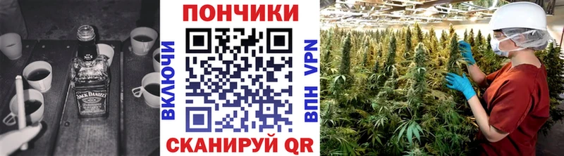 Марихуана план  Купить  Суворов 